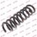 Coil Spring K-Flex RA6483 Kayaba