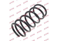 Coil Spring K-Flex RA6496 Kayaba