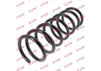 Coil Spring K-Flex RA6661 Kayaba