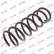 Coil Spring K-Flex RA6662 Kayaba