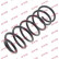 Coil Spring K-Flex RA6674 Kayaba