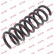 Coil Spring K-Flex RA6676 Kayaba