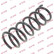 Coil Spring K-Flex RA6690 Kayaba