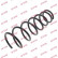 Coil Spring K-Flex RA6991 Kayaba