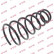 Coil Spring K-Flex RA6992 Kayaba