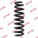 Coil Spring K-Flex RA7064 Kayaba