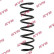 Coil Spring K-Flex RA7066 Kayaba
