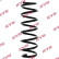 Coil Spring K-Flex RA7067 Kayaba