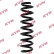 Coil Spring K-Flex RA7072 Kayaba
