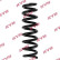 Coil Spring K-Flex RA7075 Kayaba