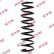 Coil Spring K-Flex RA7082 Kayaba