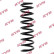 Coil Spring K-Flex RA7084 Kayaba