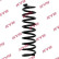 Coil Spring K-Flex RA7085 Kayaba