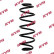 Coil Spring K-Flex RA7097 Kayaba