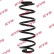 Coil Spring K-Flex RA7100 Kayaba