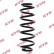 Coil Spring K-Flex RA7101 Kayaba