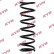 Coil Spring K-Flex RA7105 Kayaba
