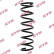Coil Spring K-Flex RA7107 Kayaba
