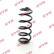 Coil Spring K-Flex RA7114 Kayaba