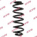 Coil Spring K-Flex RA7116 Kayaba