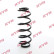 Coil Spring K-Flex RA7120 Kayaba