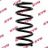 Coil Spring K-Flex RA7129 Kayaba