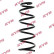 Coil Spring K-Flex RA7134 Kayaba