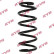 Coil Spring K-Flex RA7141 Kayaba