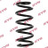 Coil Spring K-Flex RA7142 Kayaba