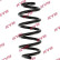 Coil Spring K-Flex RA7149 Kayaba
