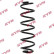 Coil Spring K-Flex RA7152 Kayaba
