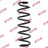 Coil Spring K-Flex RA7153 Kayaba