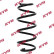 Coil Spring K-Flex RA7161 Kayaba