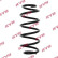 Coil Spring K-Flex RA7164 Kayaba
