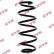 Coil Spring K-Flex RA7167 Kayaba