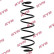 Coil Spring K-Flex RA7169 Kayaba