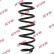 Coil Spring K-Flex RA7171 Kayaba
