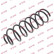 Coil Spring K-Flex RC1045 Kayaba