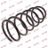 Coil Spring K-Flex RC1229 Kayaba