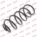 Coil Spring K-Flex RC1243 Kayaba