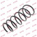 Coil Spring K-Flex RC2144 Kayaba