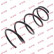 Coil Spring K-Flex RC2315 Kayaba