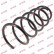 Coil Spring K-Flex RC2506 Kayaba