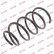 Coil Spring K-Flex RC2871 Kayaba