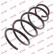 Coil Spring K-Flex RC2933 Kayaba