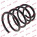 Coil Spring K-Flex RC2936 Kayaba