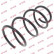 Coil Spring K-Flex RC2966 Kayaba