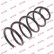 Coil Spring K-Flex RC3420 Kayaba