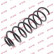 Coil Spring K-Flex RC5244 Kayaba