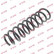 Coil Spring K-Flex RC5245 Kayaba